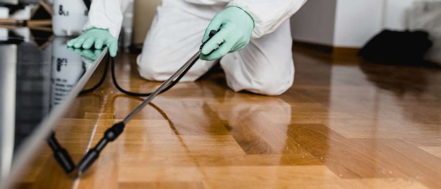 pest control services Dubai UAE