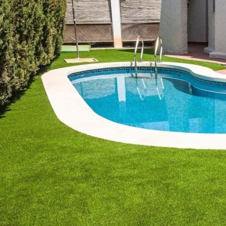 swimming pool grass
