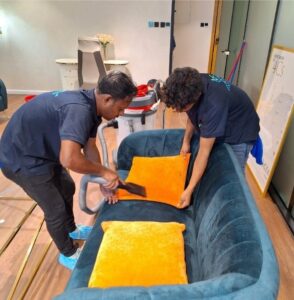 Upholstery Cleaning